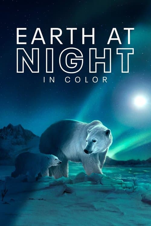 Earth at Night in Colour